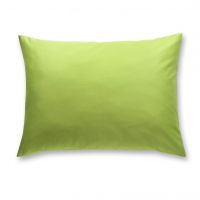 Pillow cover Pan - Green