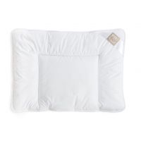 Dreamfil Special pillow 