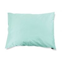 Pillow cover Pan – Mint