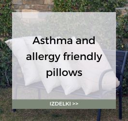 allergy asthma friendly pillows