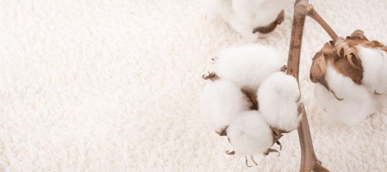 Tip - Ensure the long lasting comfort of organic cotton products