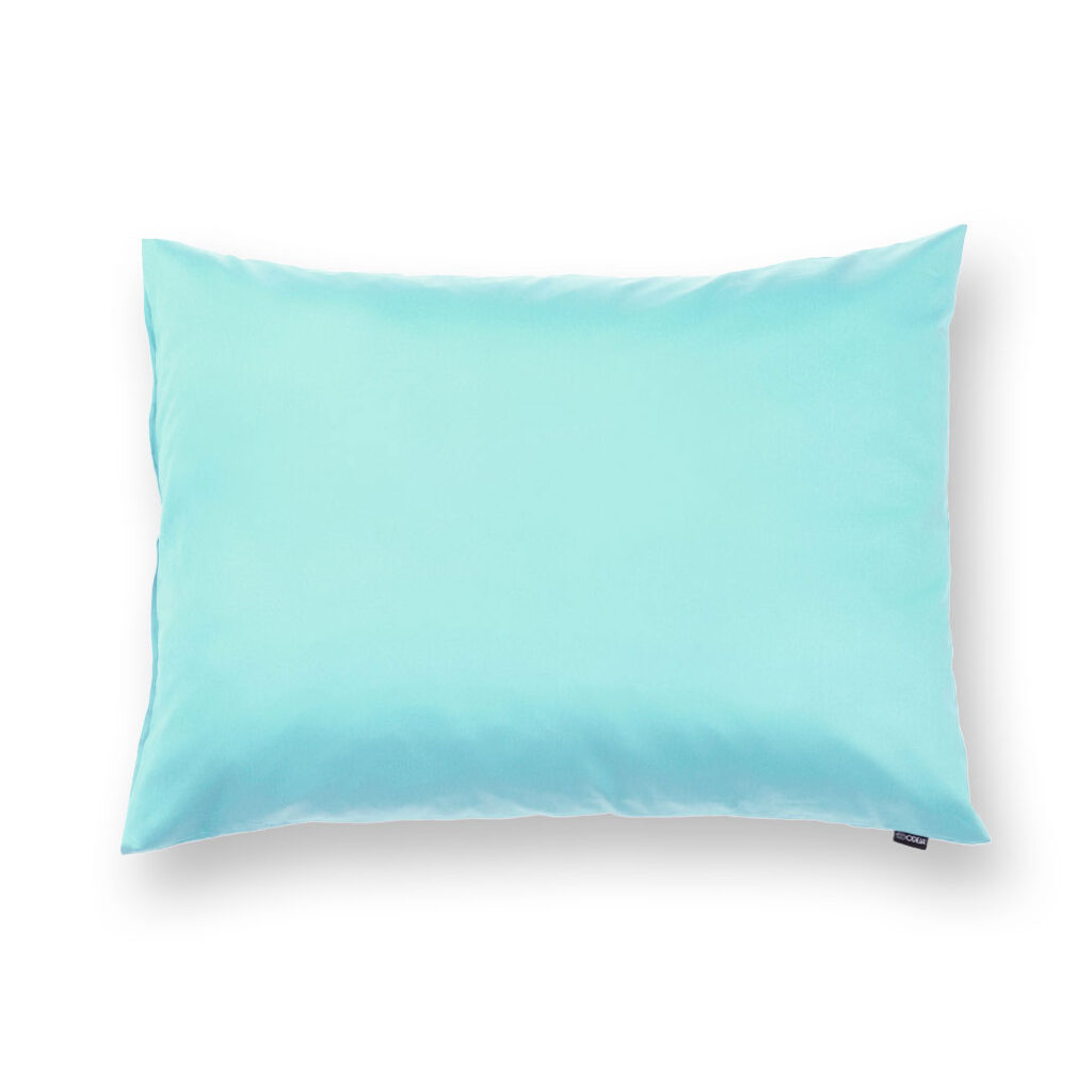 prevleka za vzglavnik pan mint profilna 1