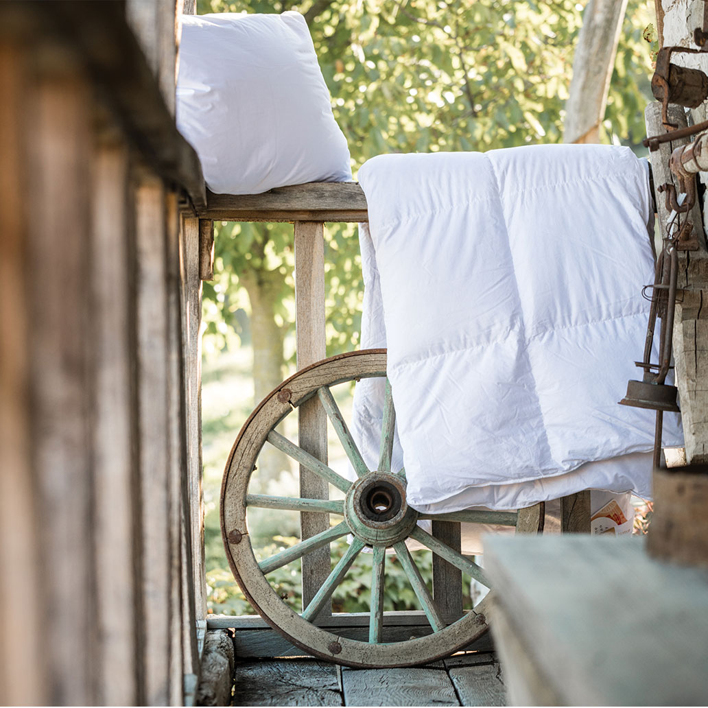 odeja vzglavnik down image 6