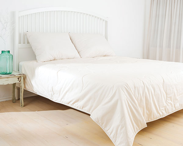 odeja bioactiv medium 1