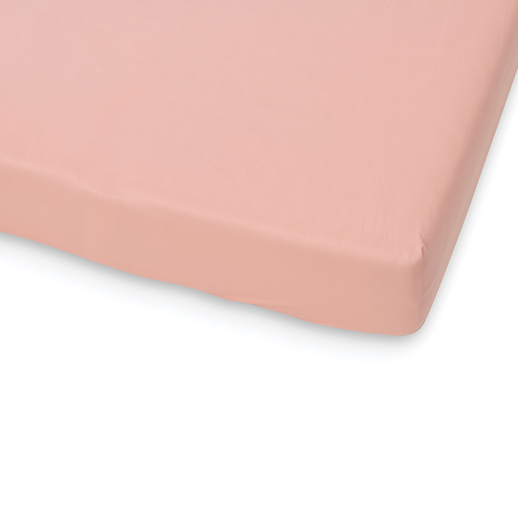 jogi rjuha hera puder roza 55