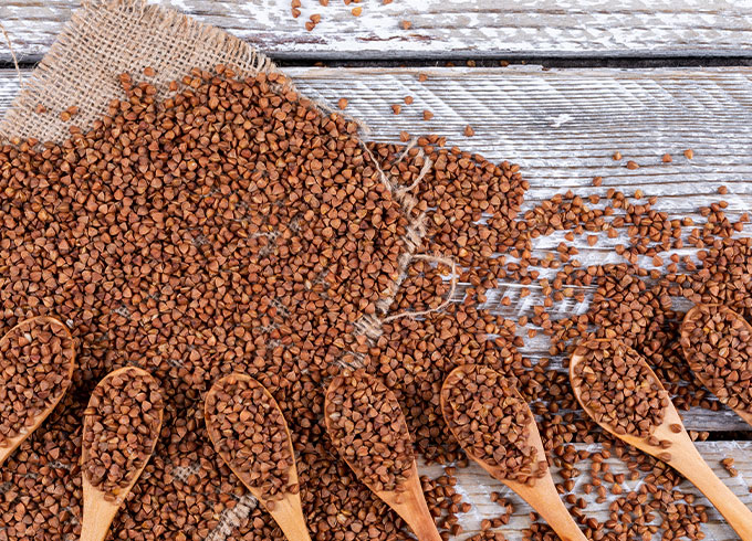 ajdov zglavnik image 1